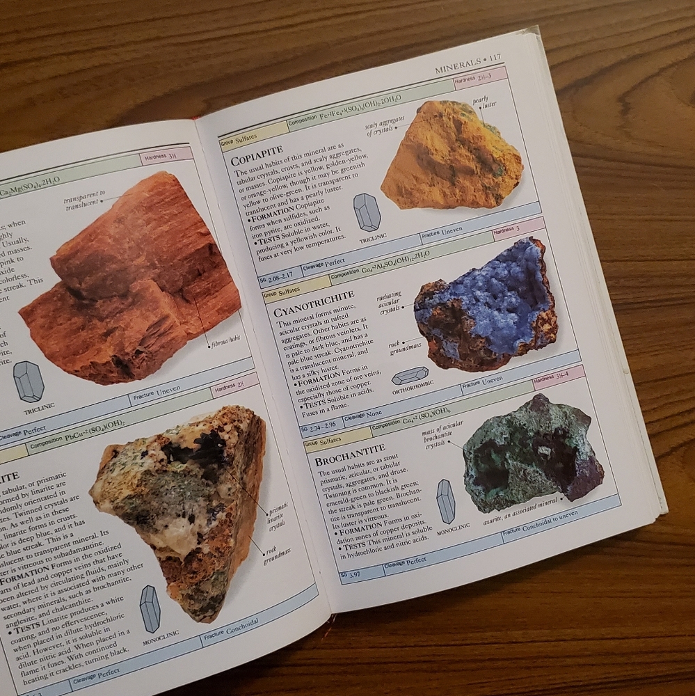 Rocks and Minerals by Chris Pellant - Picture 5 of 5